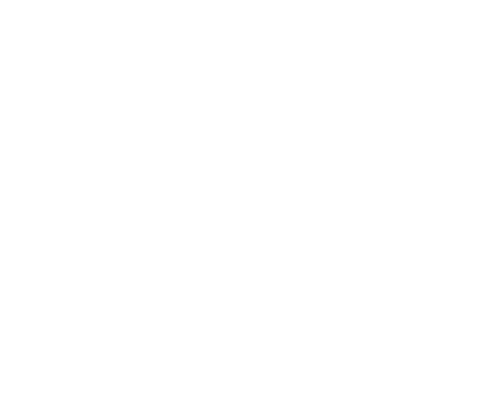 Innate Leaders | Mindset Consulting | Management Consulting