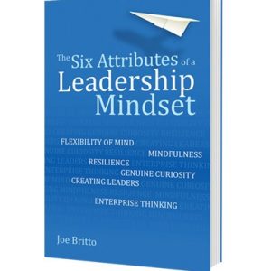 The Six Attributes of a Leaderhip Mindset 3D book cover